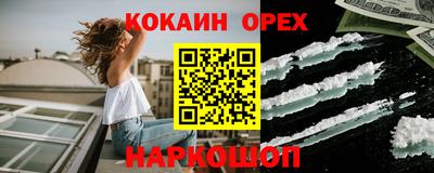 шишки Шелехов