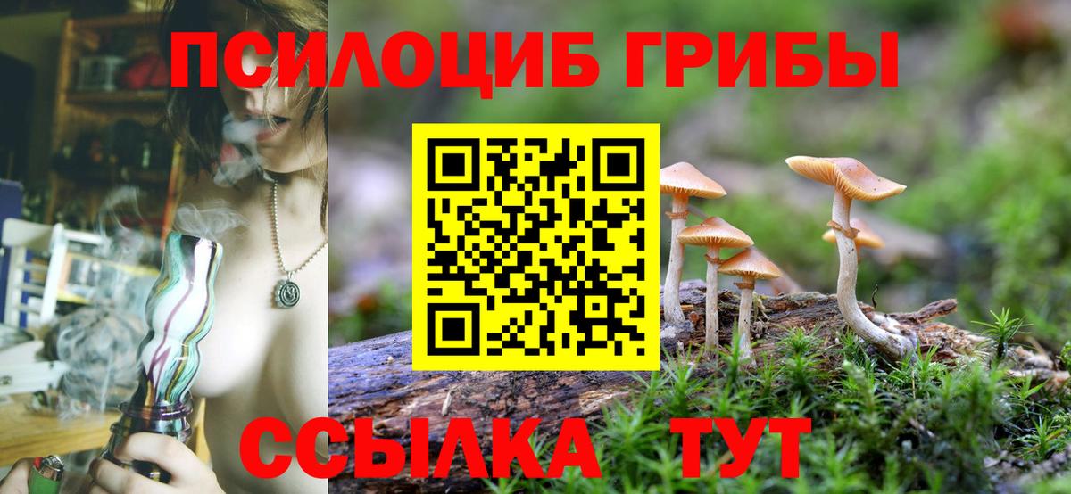 Галлюциногенные грибы Magic Shrooms Алексин