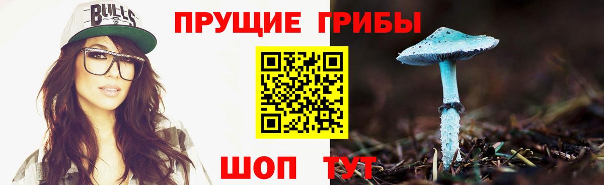 Галлюциногенные грибы Psilocybe  что такое   Алексин  Вход с VPN  Галлюциногенные грибы Psilocybine cubensis 